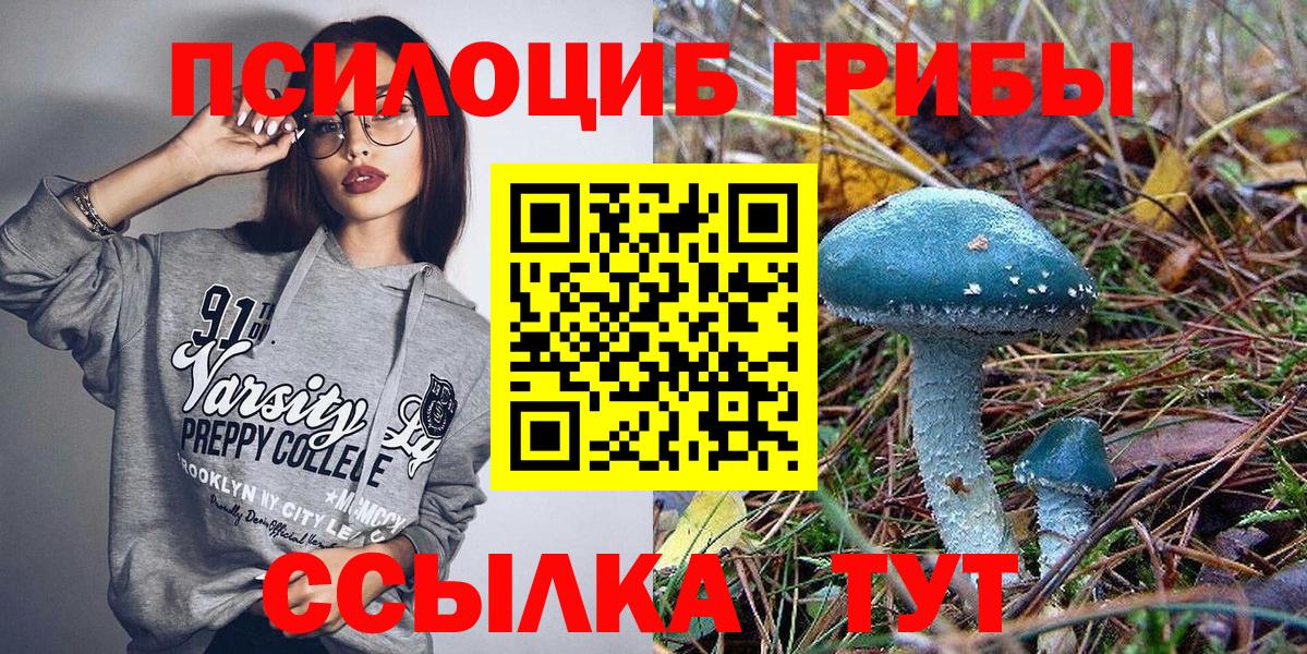 Псилоцибиновые грибы мицелий Полевской